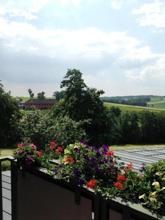 1A Landhotel Schicklberg Kremsmünster Zewnętrze zdjęcie